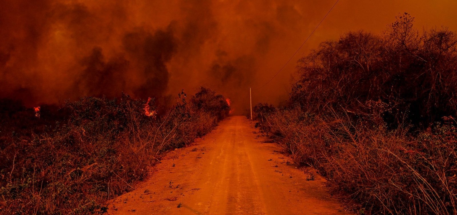 Governo federal reconhece situação de emergência em MS devido aos incêndios no Pantanal