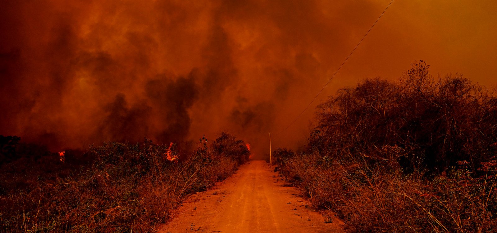 ‘Não pode ser acidente’, diz delegado da PF sobre incêndios no Pantanal