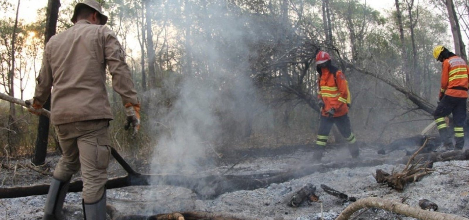 Investigação da PF aponta que incêndios no Pantanal começaram em 4 fazendas de grande porte no MS