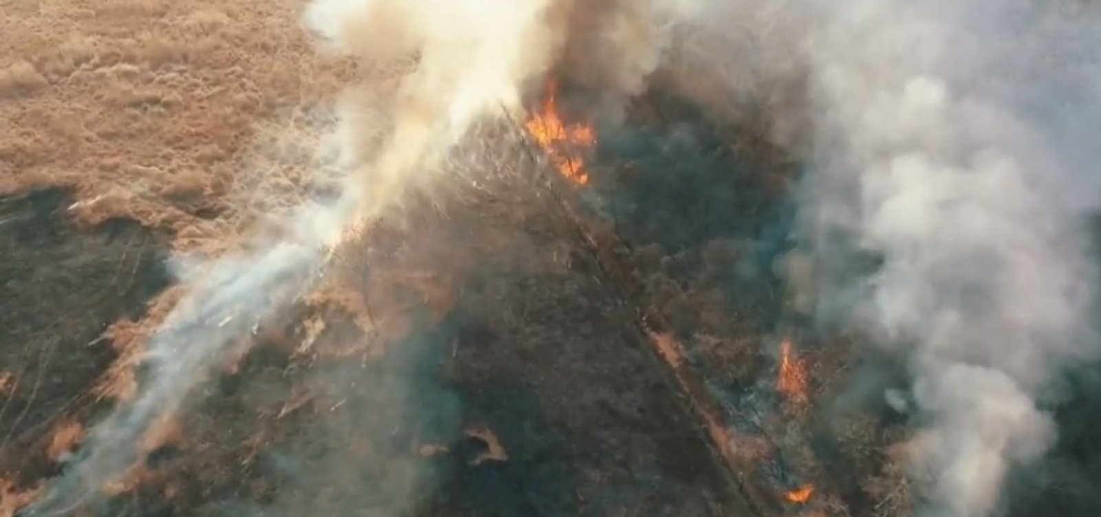 Incêndio destrói 90 hectares de vegetação no sudoeste da Bahia 