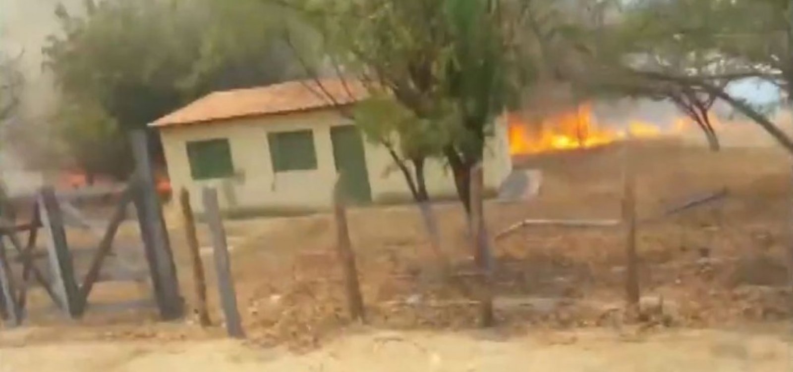 Inpe: queimadas já atingiram 400 km de vegetação na Bahia em 2020