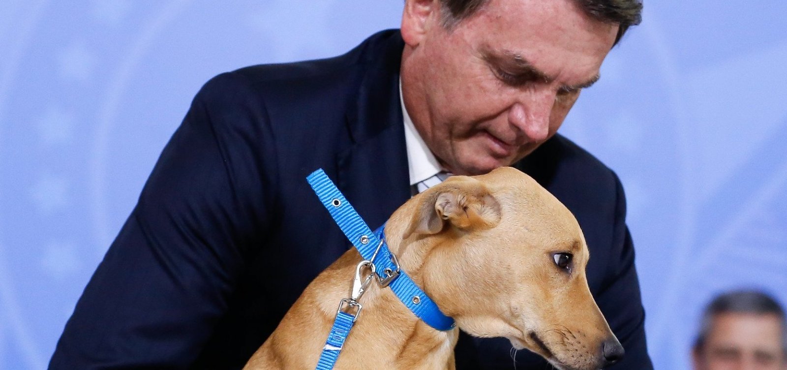 Bolsonaro sanciona, sem vetos, lei que aumenta pena para quem maltratar cães e gatos