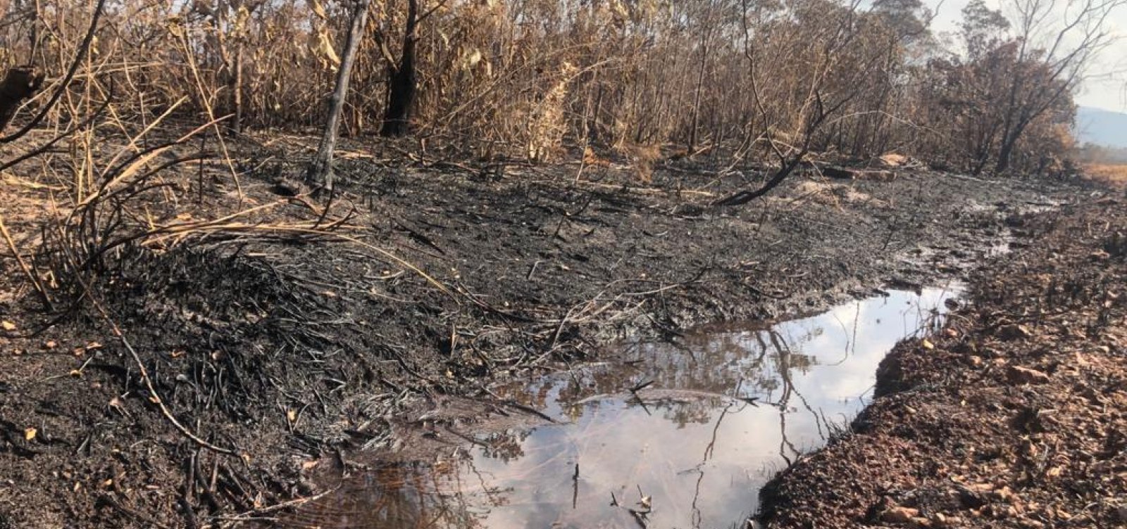 Fortes chuvas atingem Chapada Diamantina e apagam incêndios na região