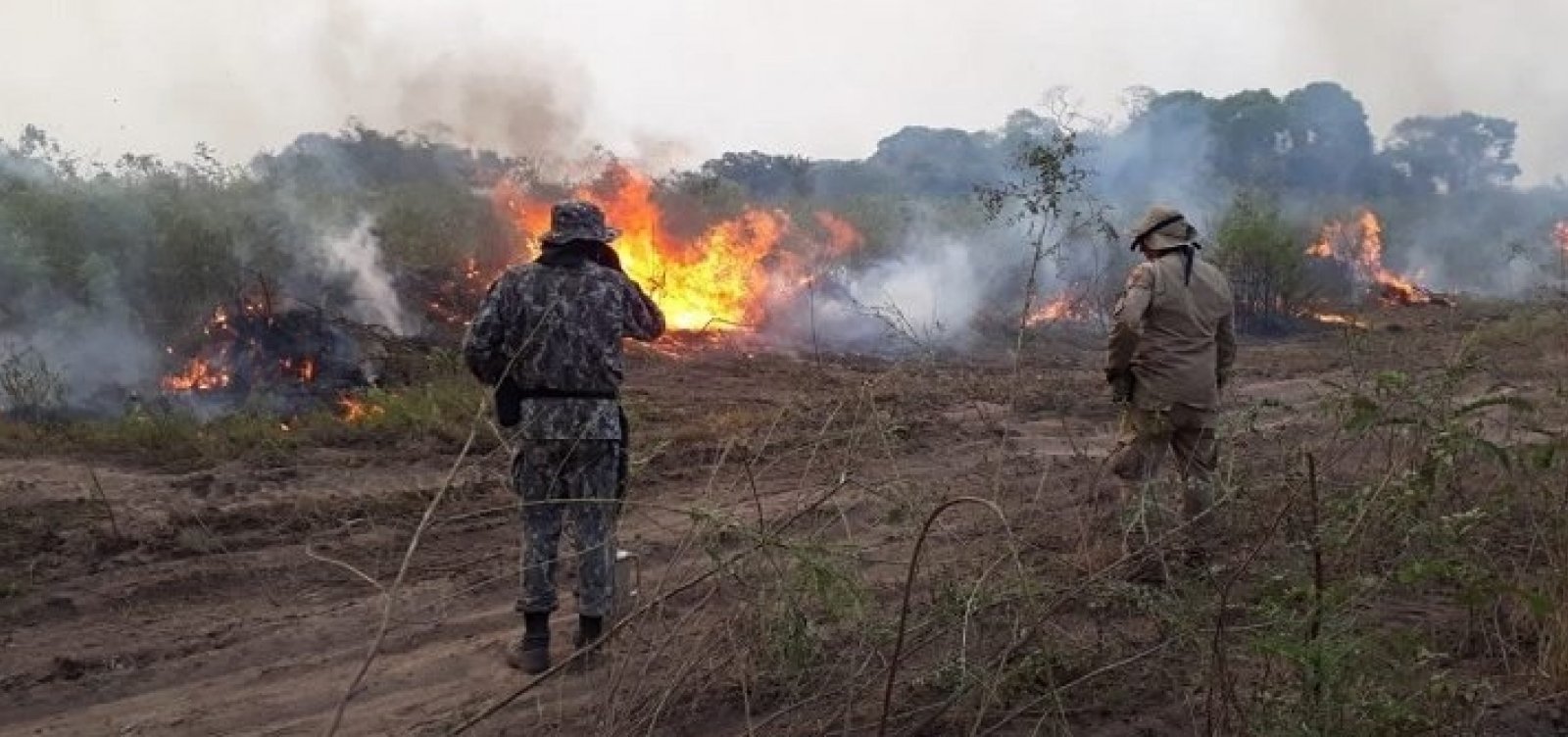 Pantanal registra 2,5 mil focos de incêndio em 14 dias e já tem o segundo pior outubro da história