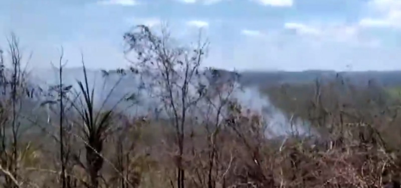Incêndio atinge vegetação entre Milagres e Amargosa, na região do Vale do Jiquiriçá