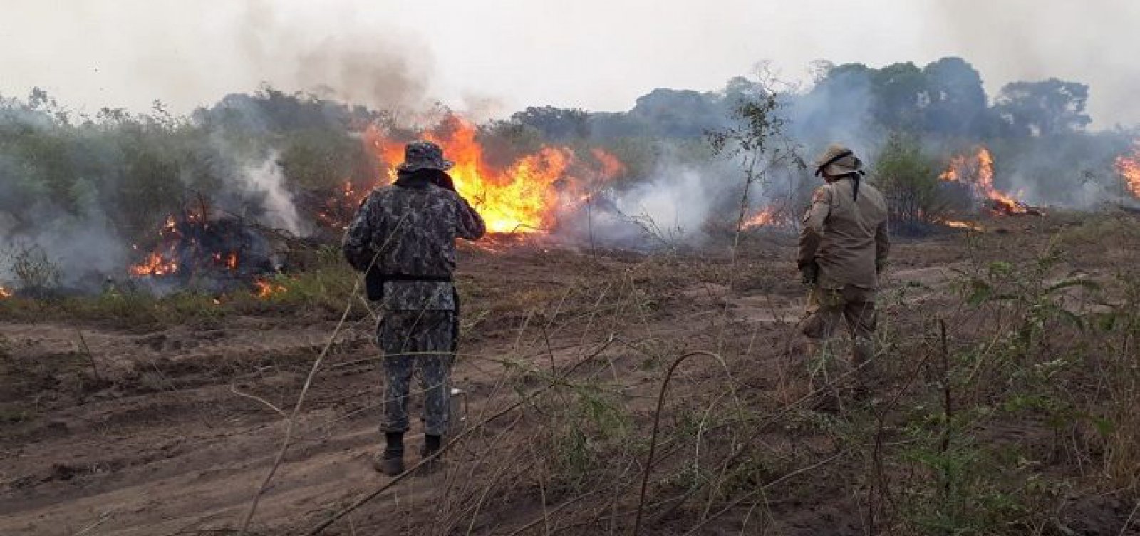 Pantanal registra 2.825 pontos de incêndio e tem pior outubro da história, diz Inpe
