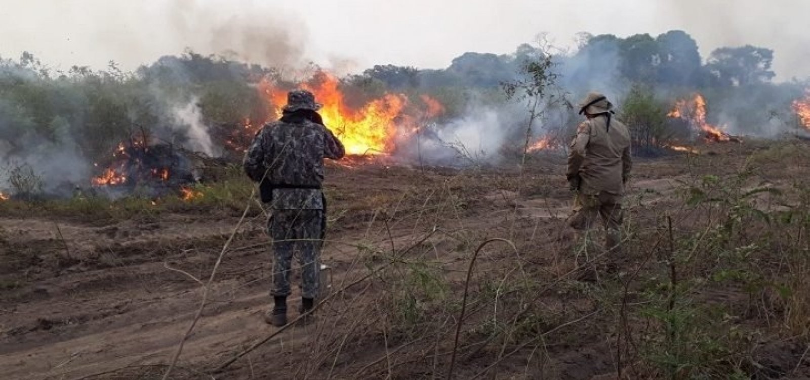 Pantanal tem pior outubro de queimadas da história e fogo cresce 121% na Amazônia