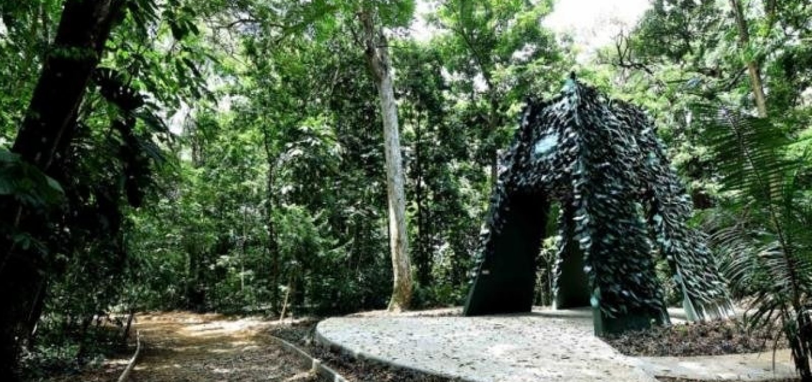 Após requalificação, Jardim Botânico de Salvador é reaberto ao público